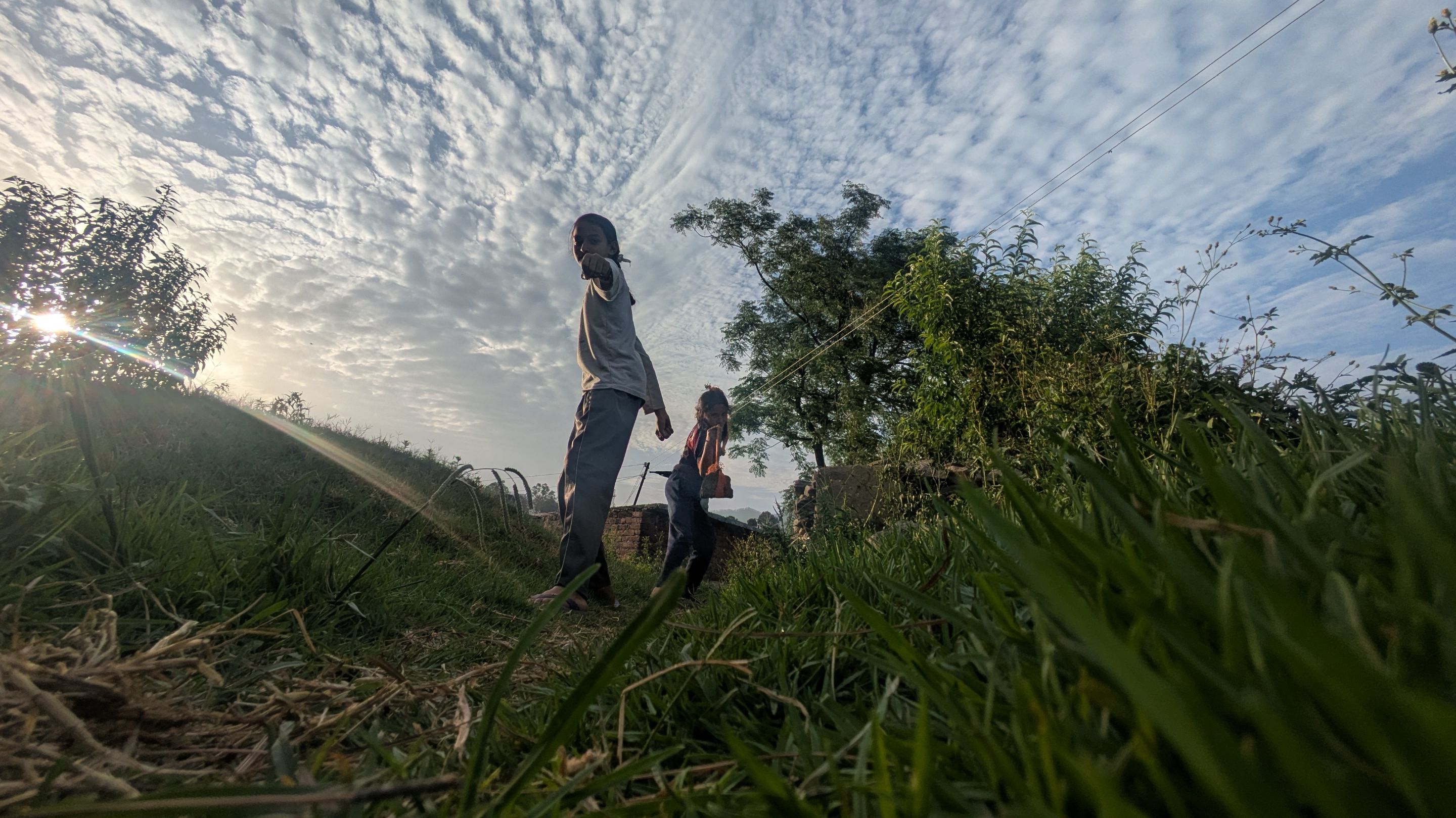 1000163537.jpg