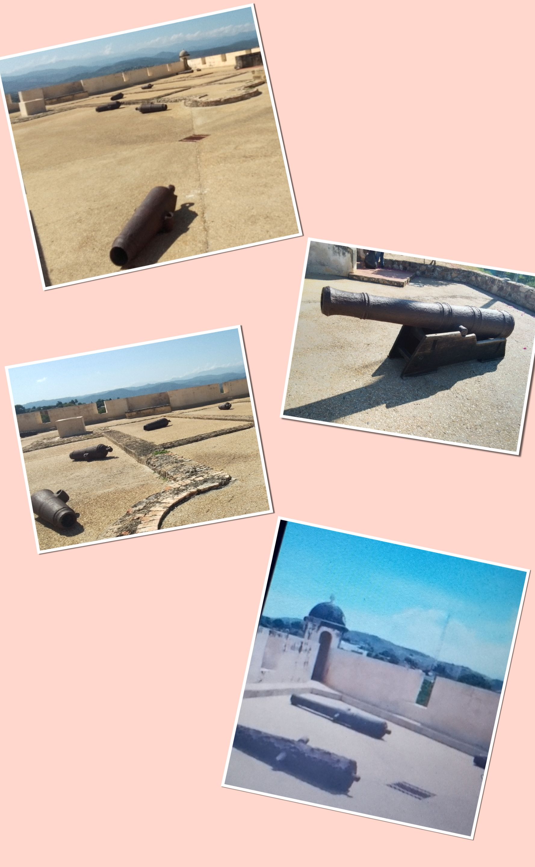 InCollage_20250930_145212176.jpg
