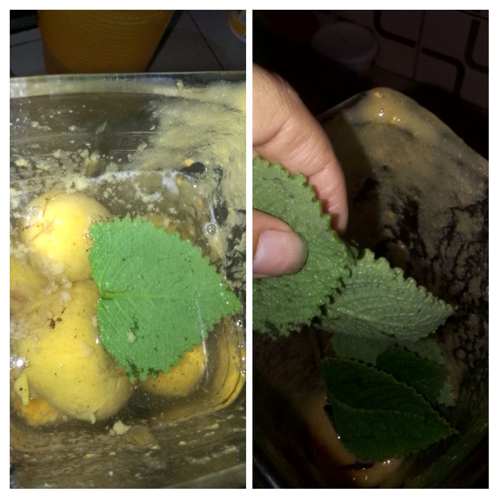IMG_20250913_133931-COLLAGE.jpg