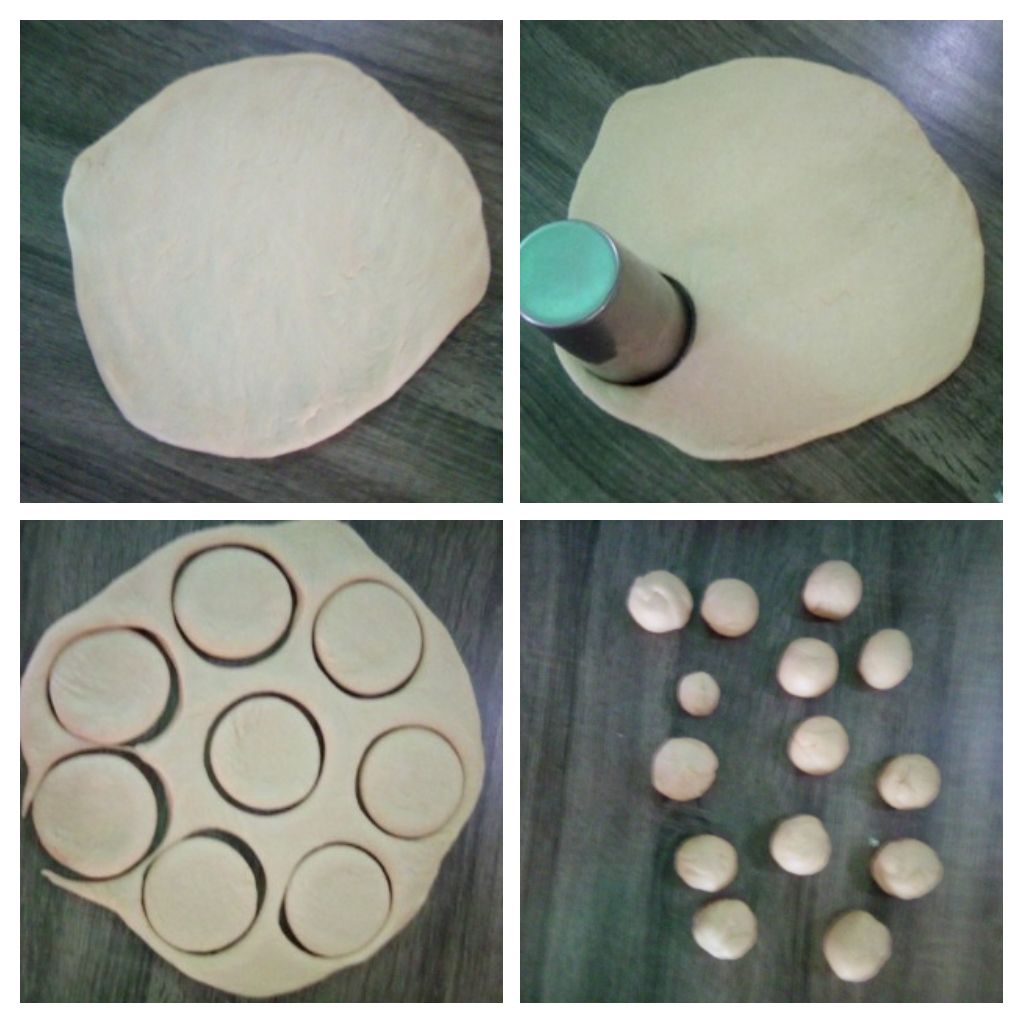 IMG_20211106_140919-COLLAGE.jpg