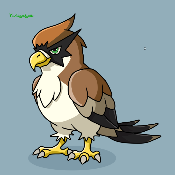 11.png
