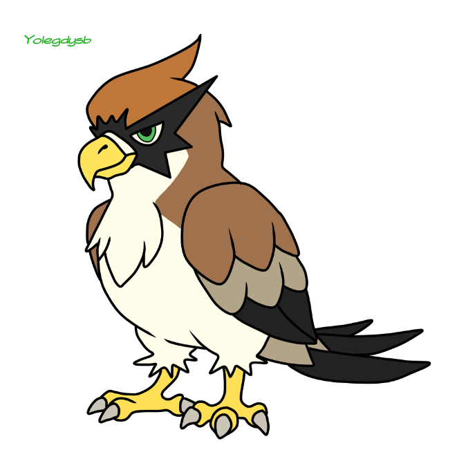 7.png