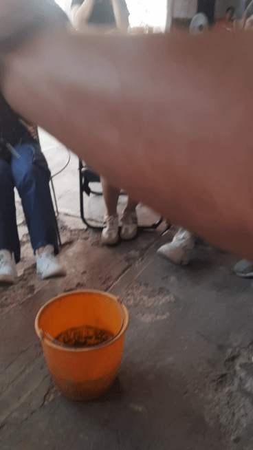 20250824_174115_1.gif