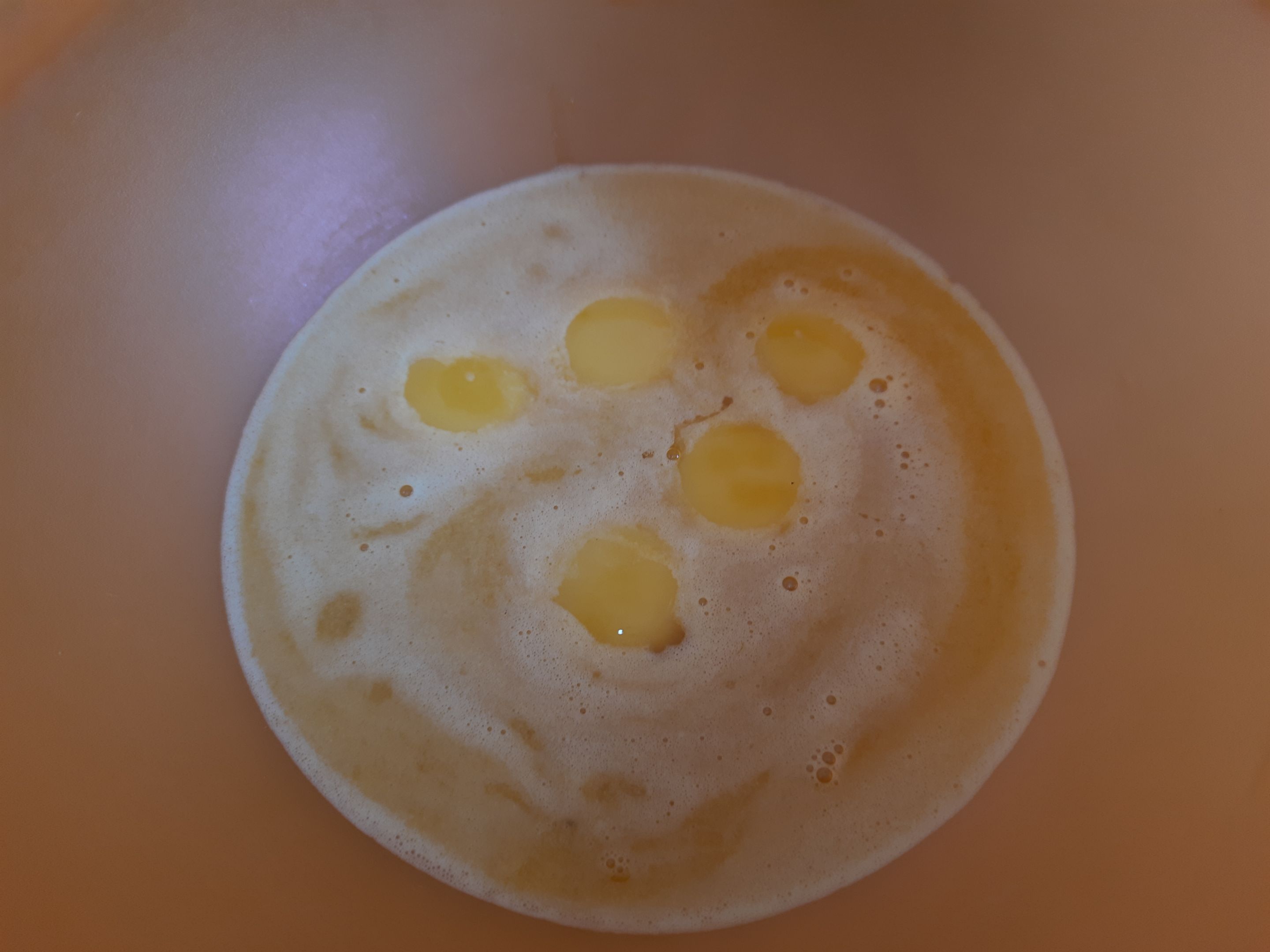 20230415_131817.jpg