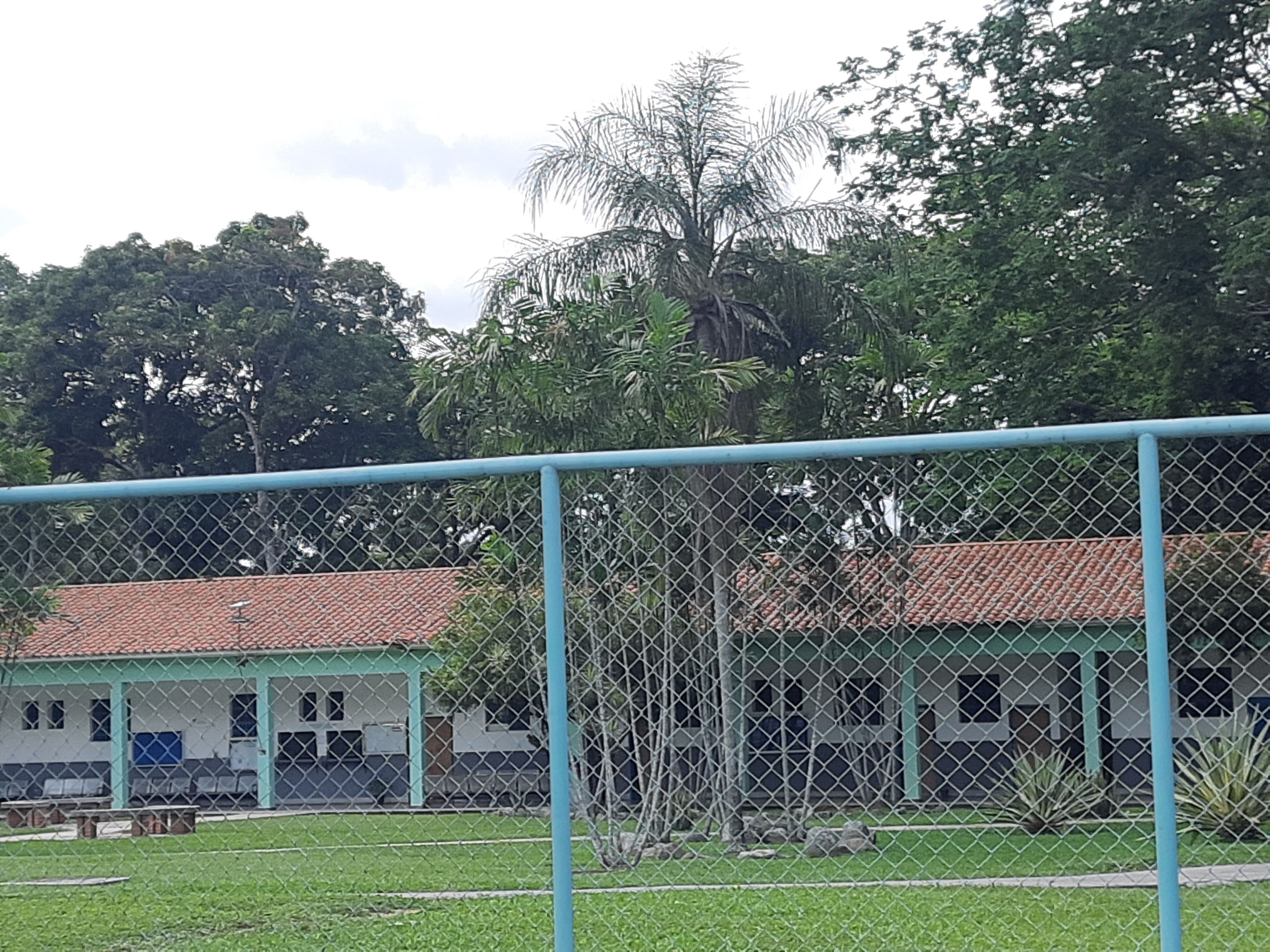 20250811_113809.jpg