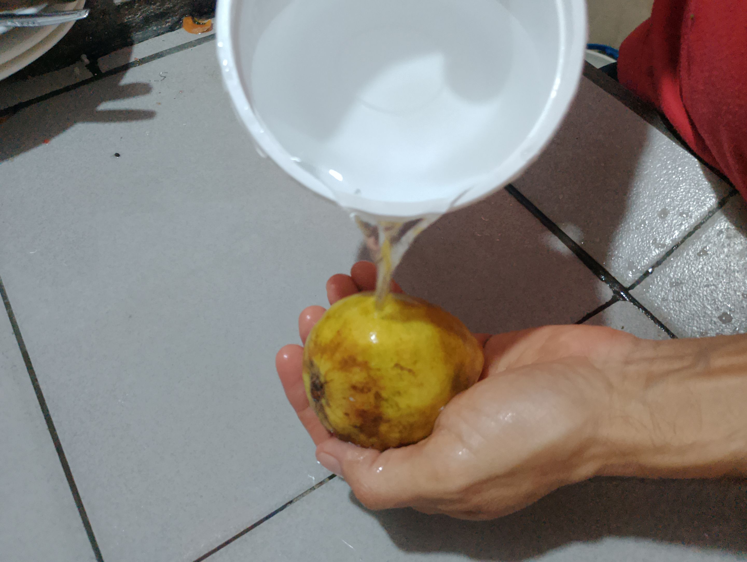 IMG_20250720_200159.jpg