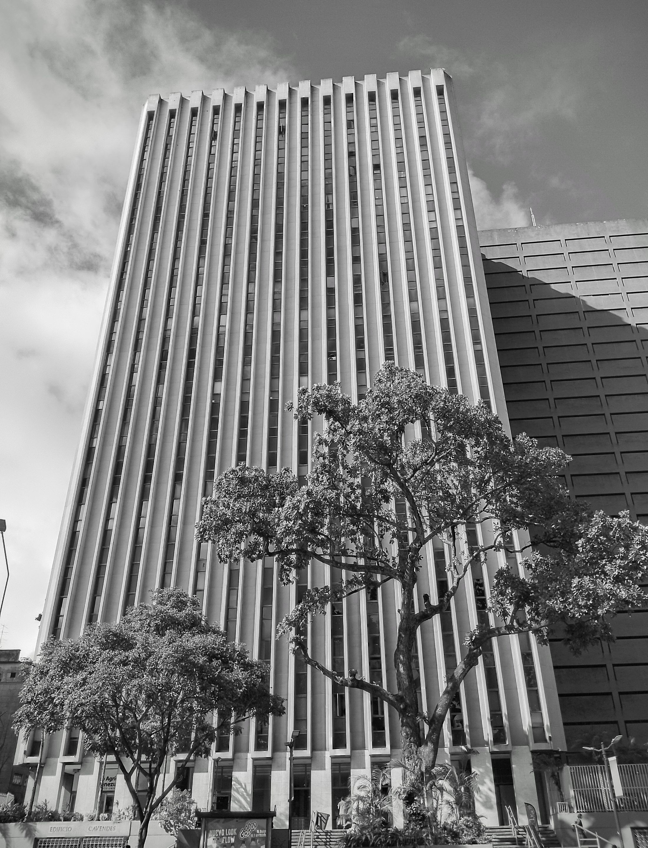 IMG_20250121_154740_HDR~2.jpg