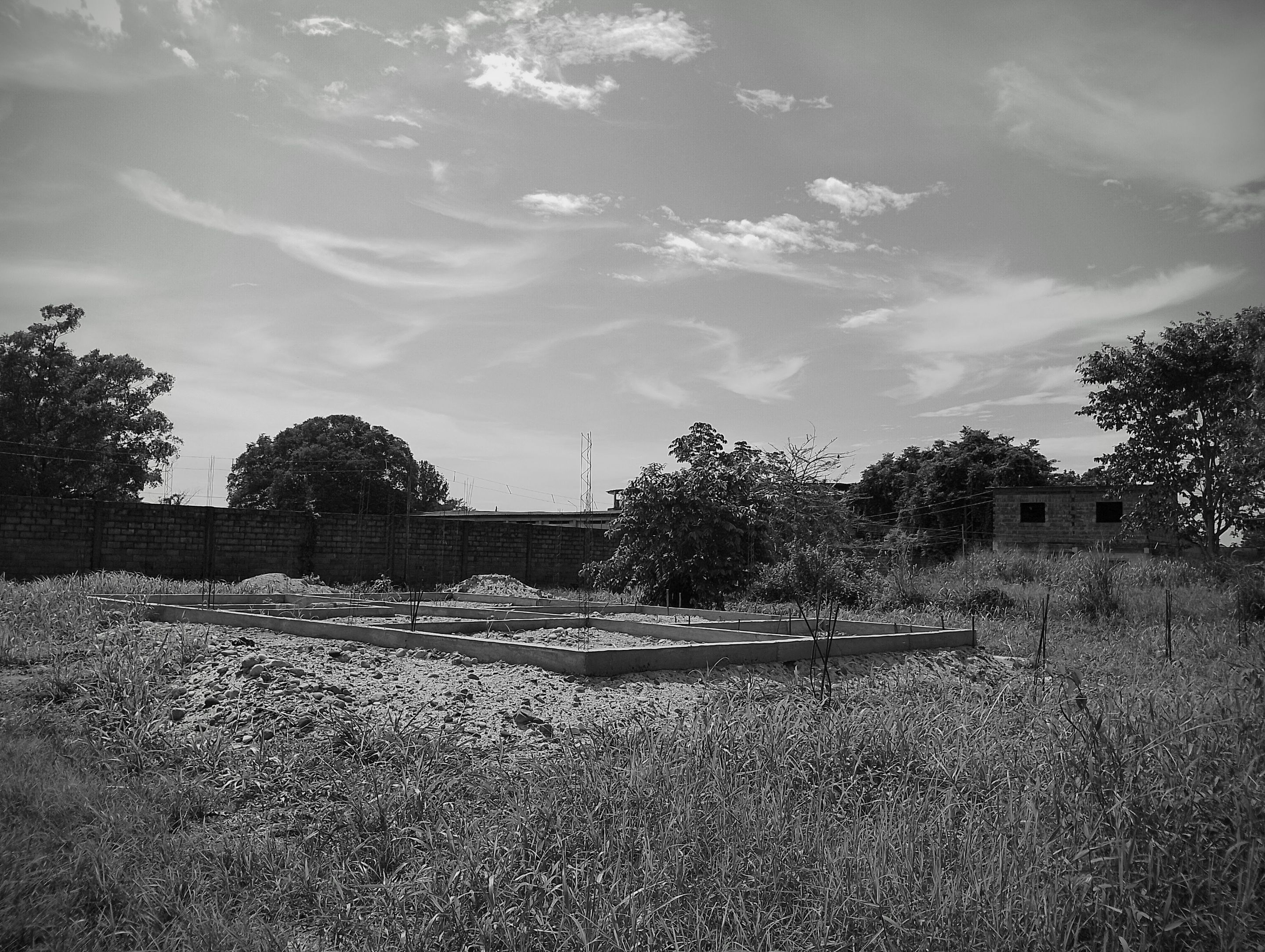 1-IMG_20250709_154526~2 (2).jpg