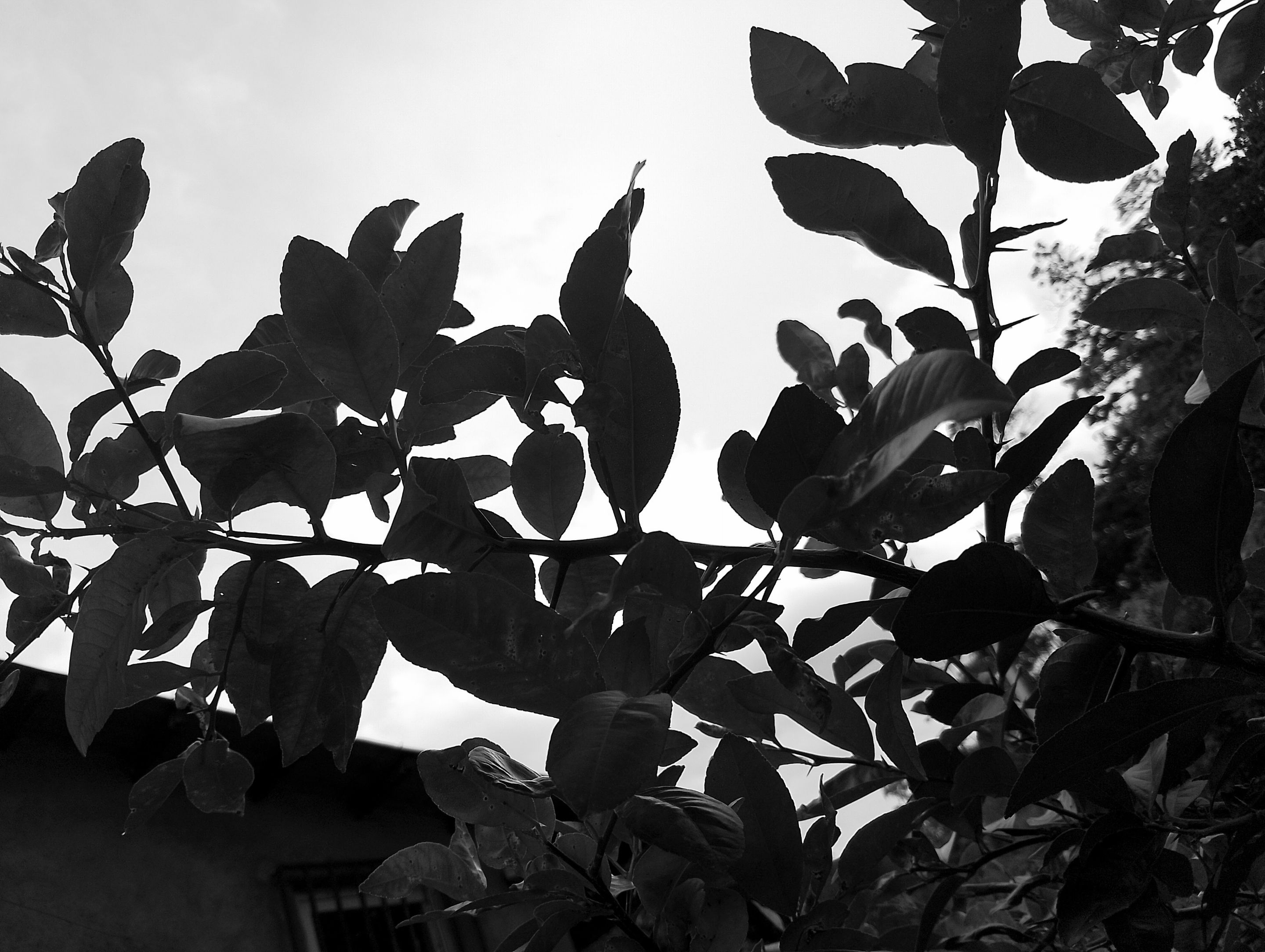 2-IMG_20250801_165438.jpg