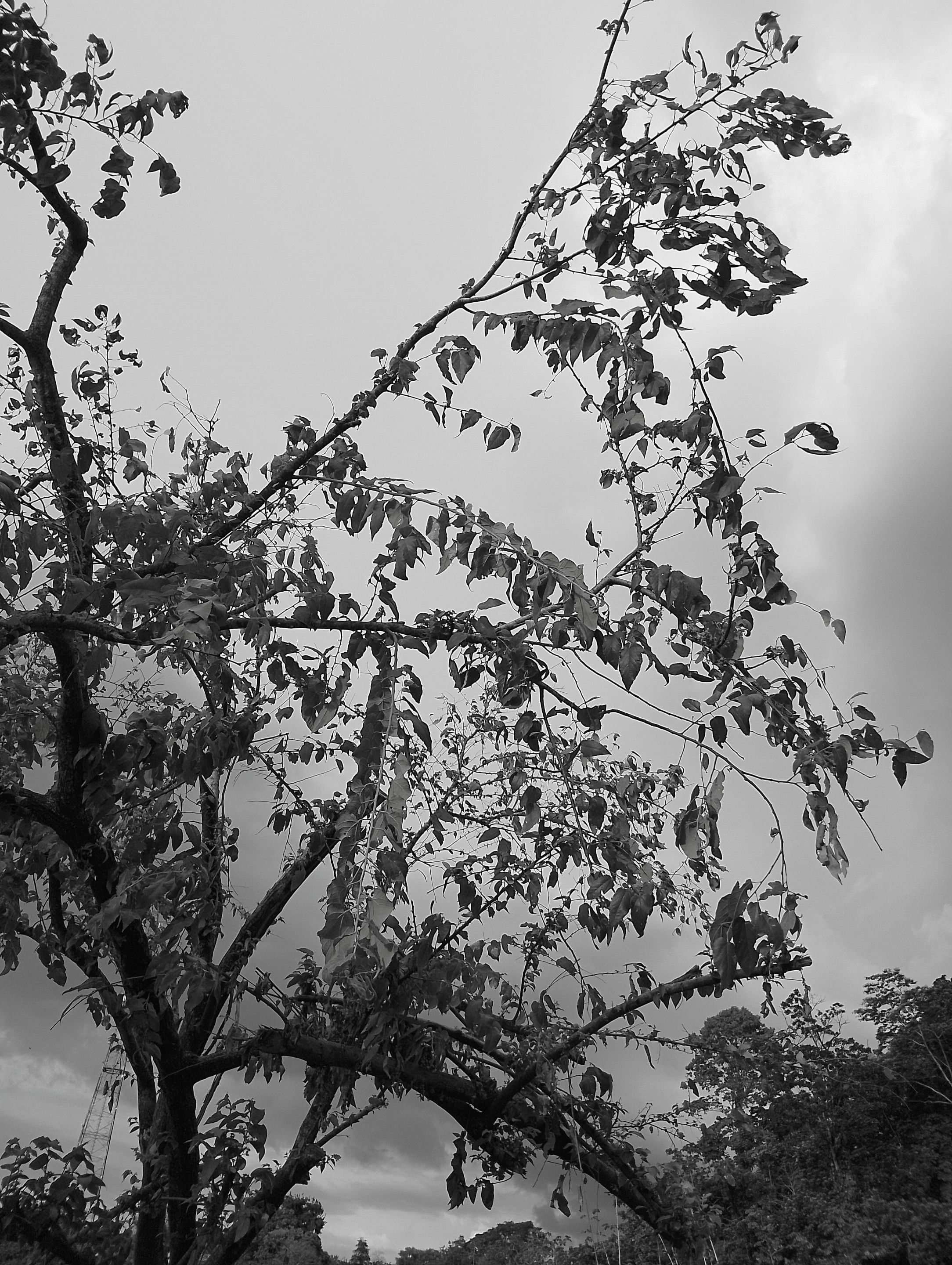 2-MG_20250905_180150~2.jpg
