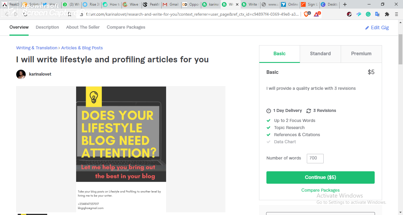 fiverr gig.png
