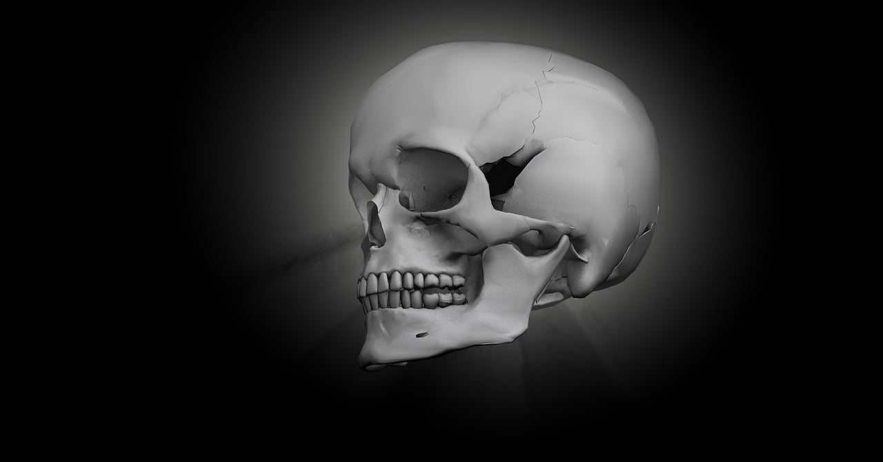 skull-1557446_1280.jpg