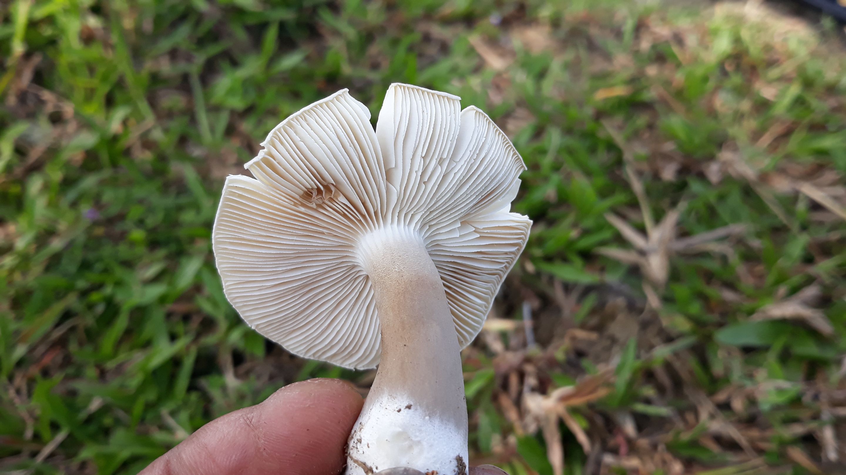 20250530_091749.jpg