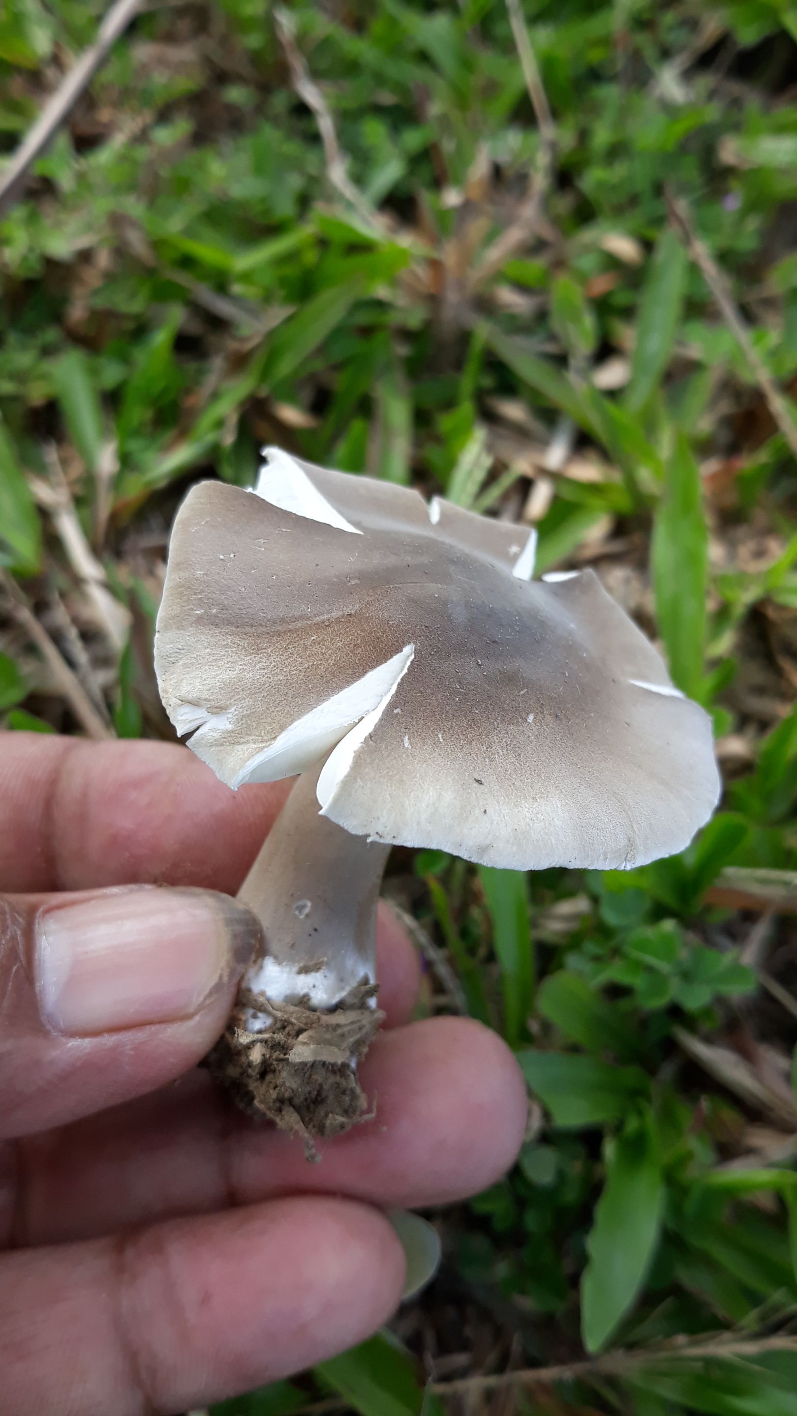 20250530_091803.jpg
