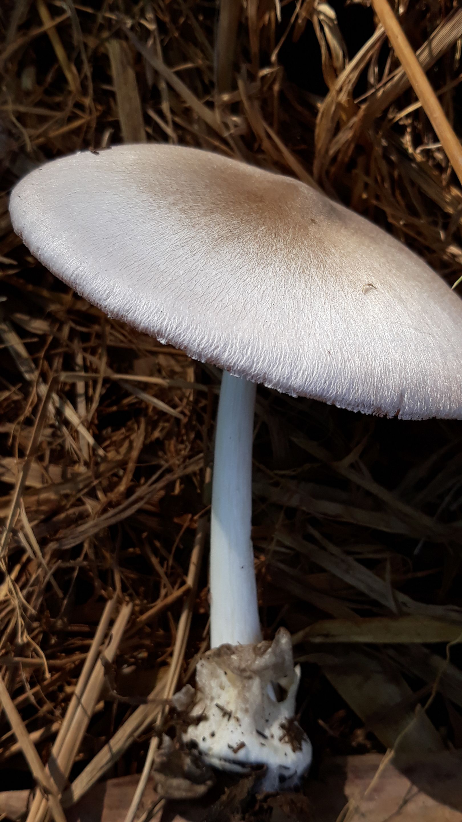 20250530_092142.jpg