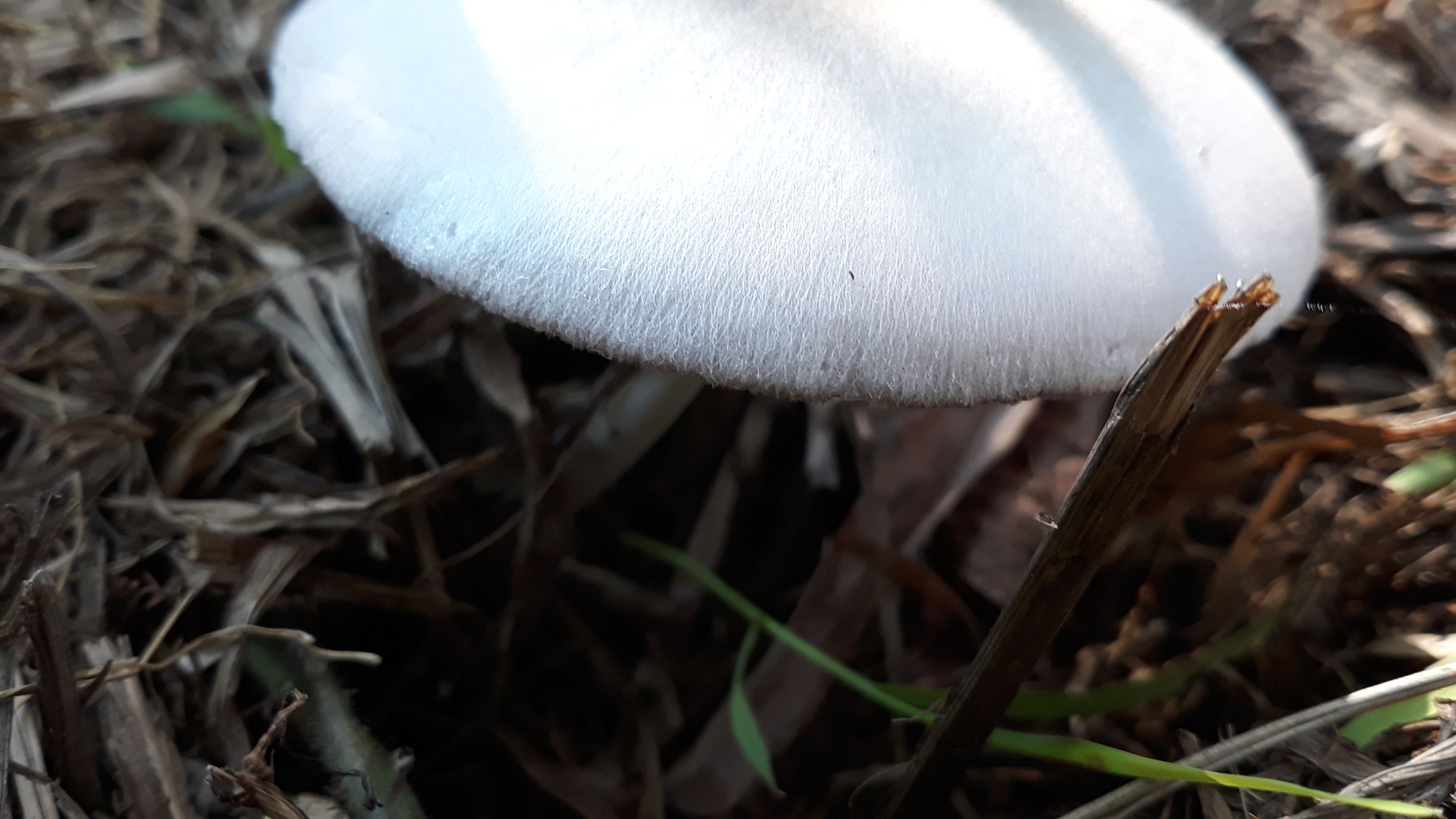 20250530_092038.jpg
