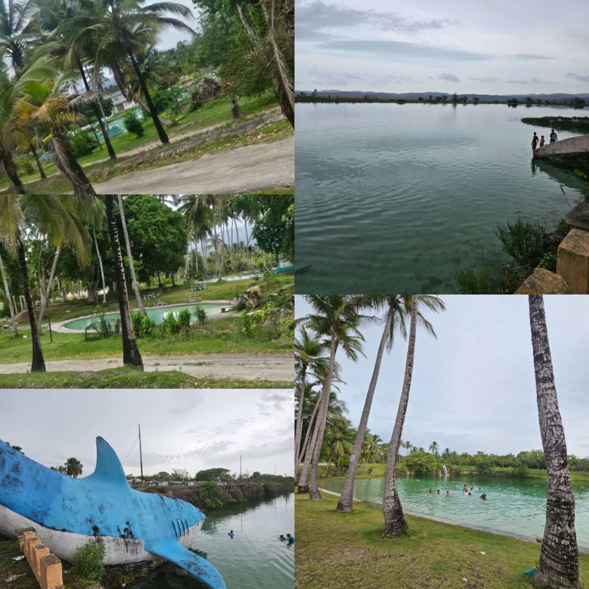 1000124838.jpg