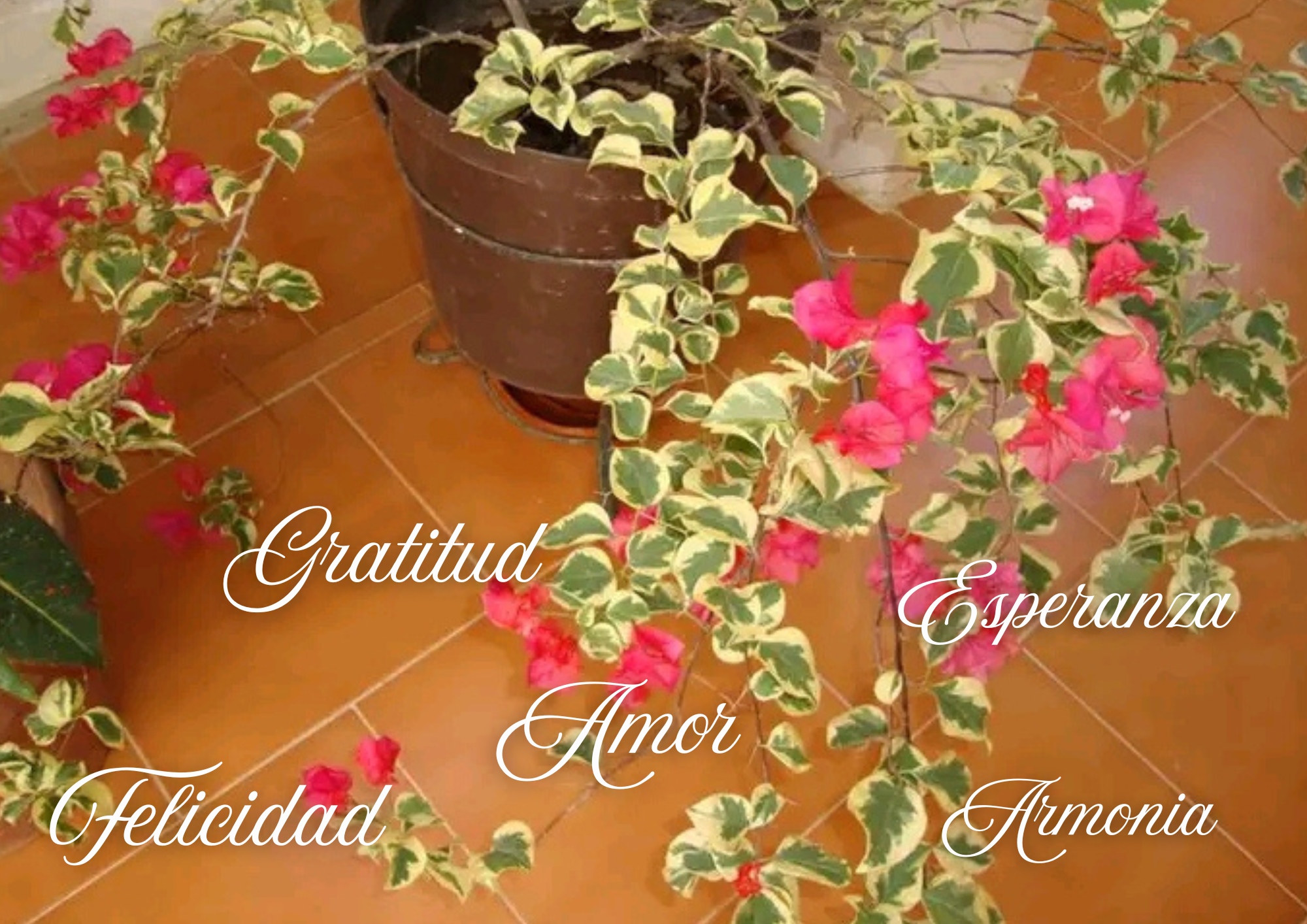 El jardín_20251008_092636_0000.png