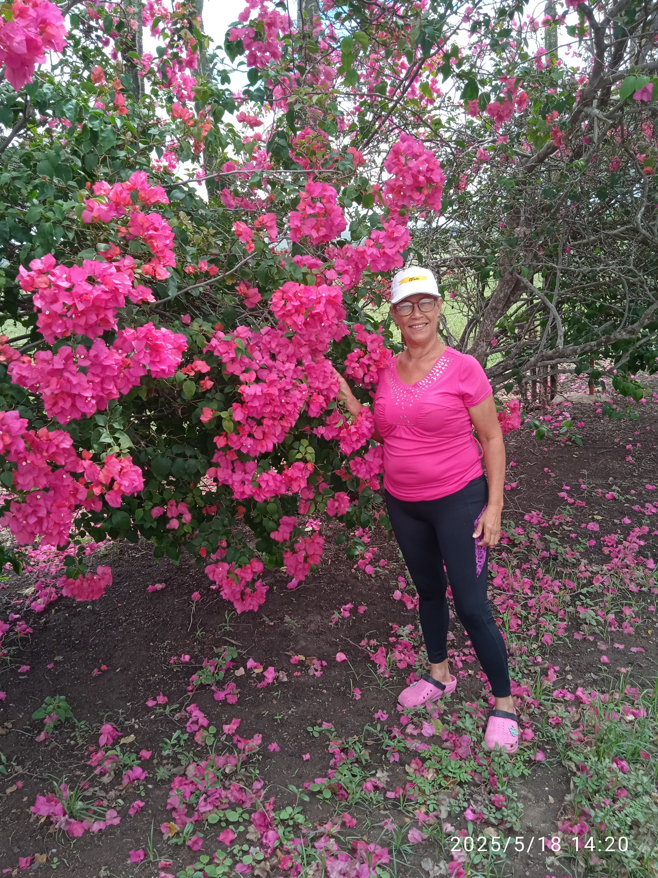 IMG_20250518_142007.jpg