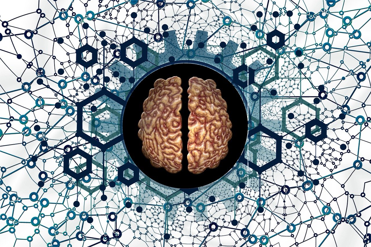 brain-5814971_1280.jpg