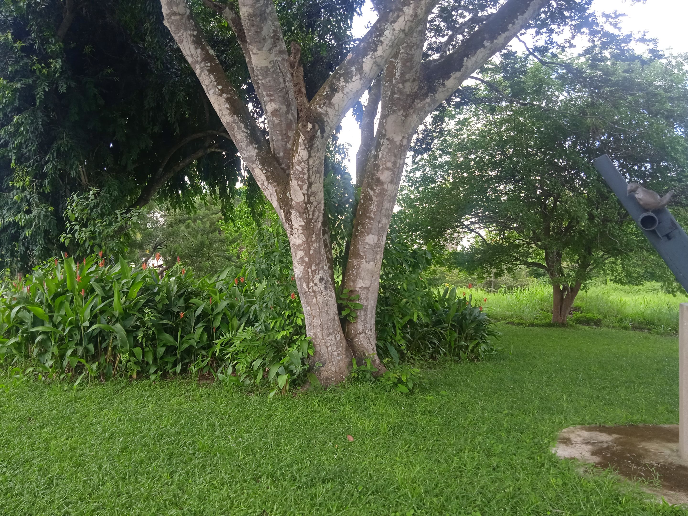 IMG_20230718_105315.jpg