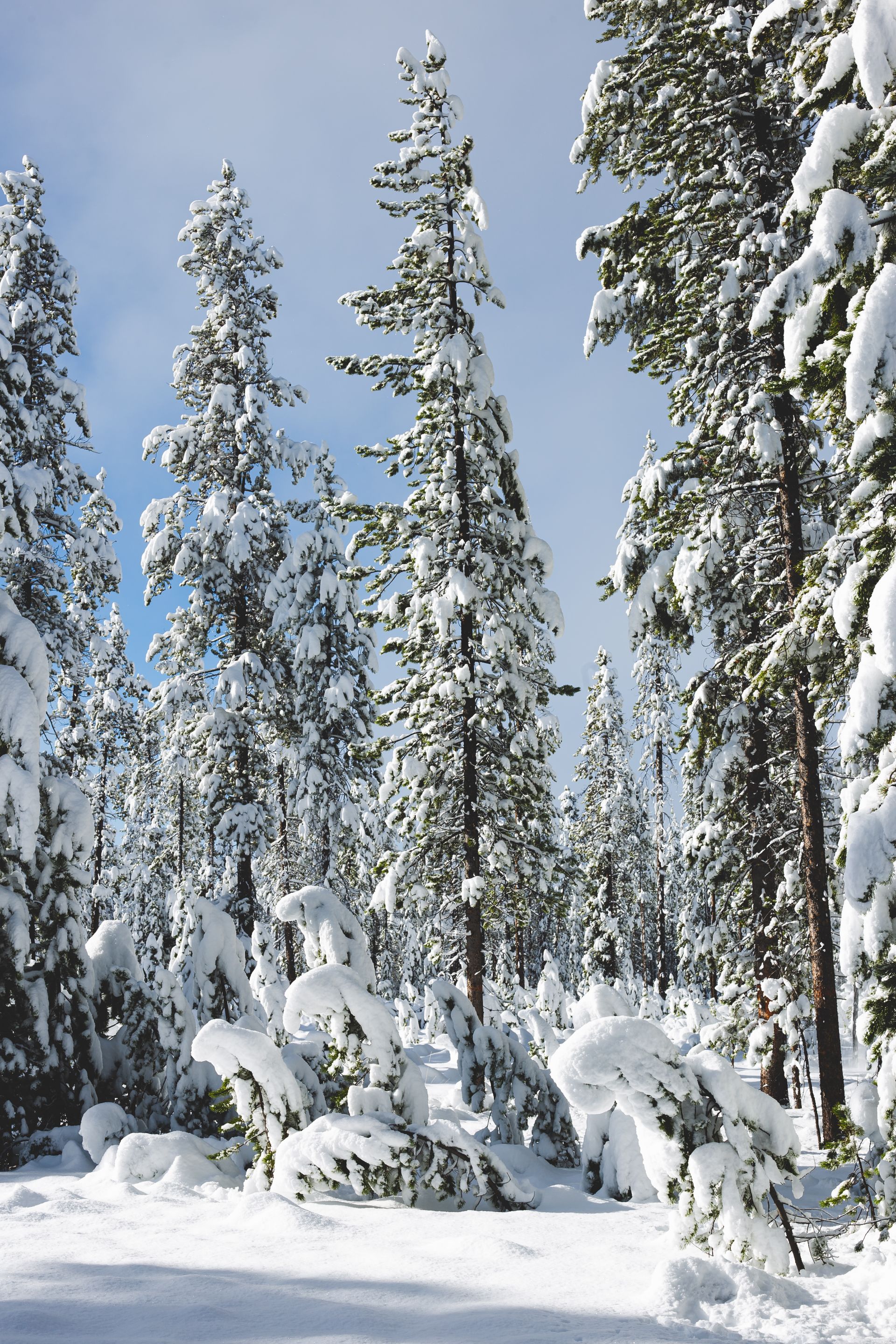 _MG_3397.jpg