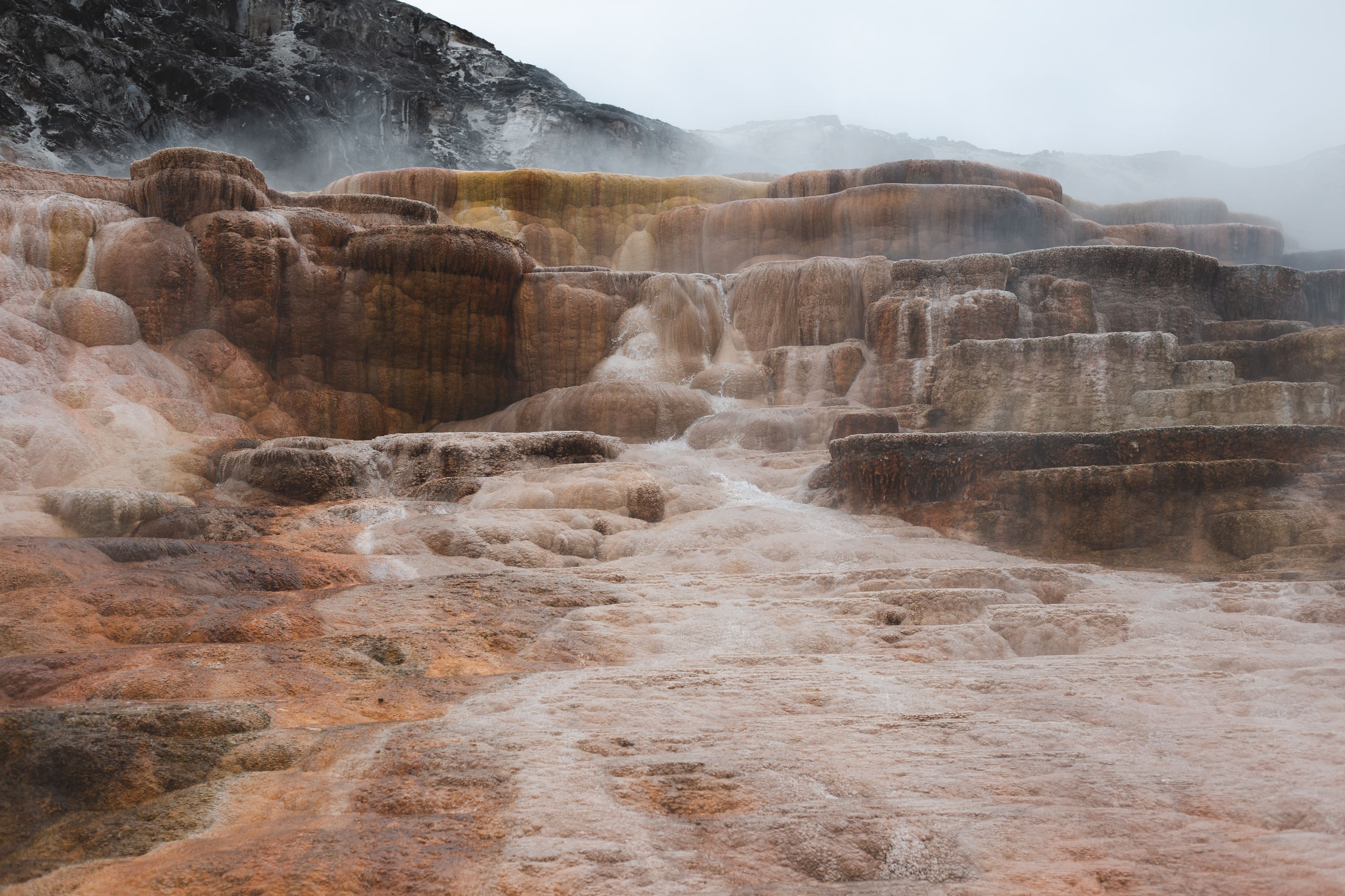 _MG_3369.jpg