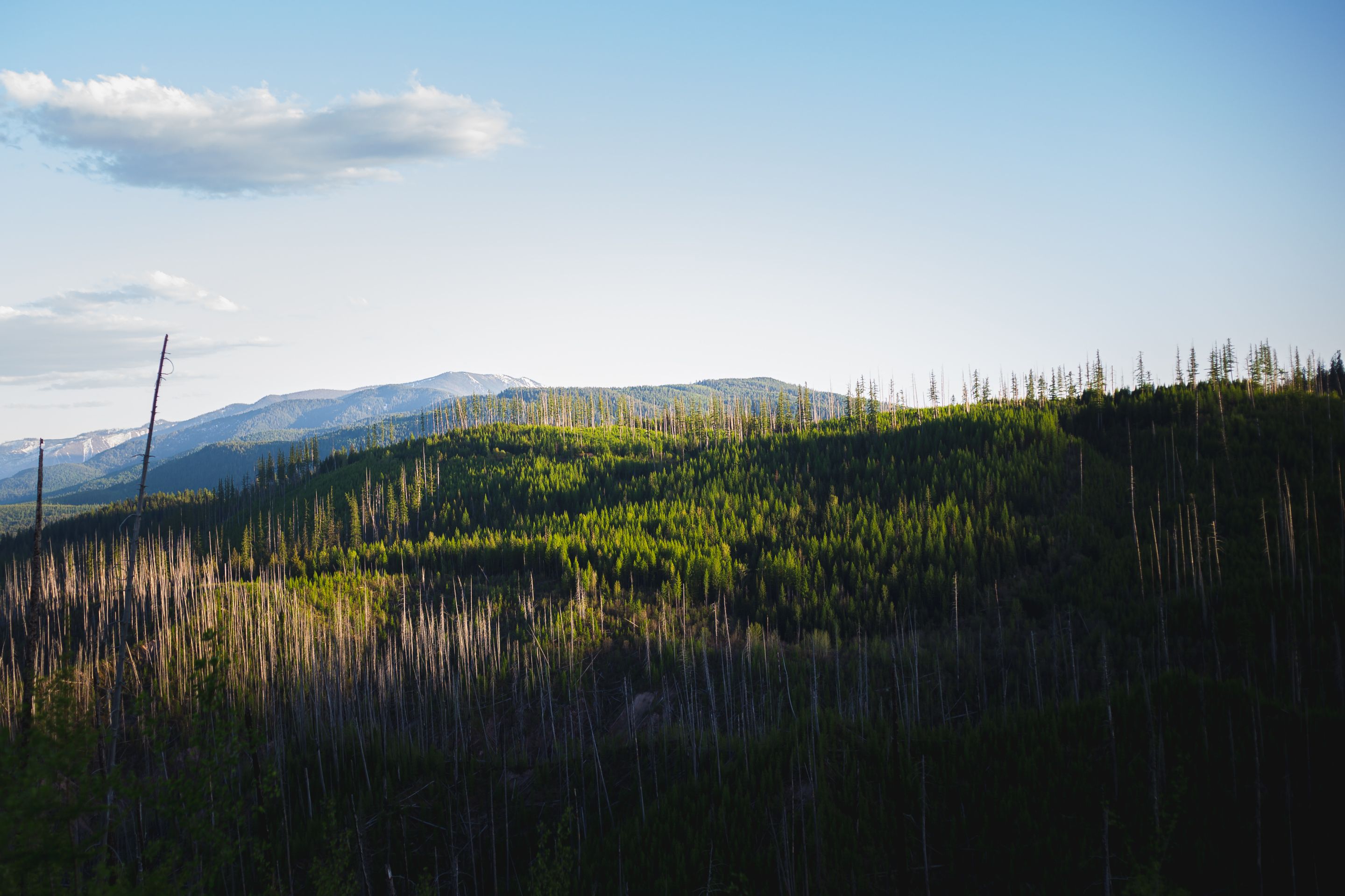 _MG_3121.jpg