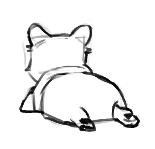 CORGI BUTT 1.jpg