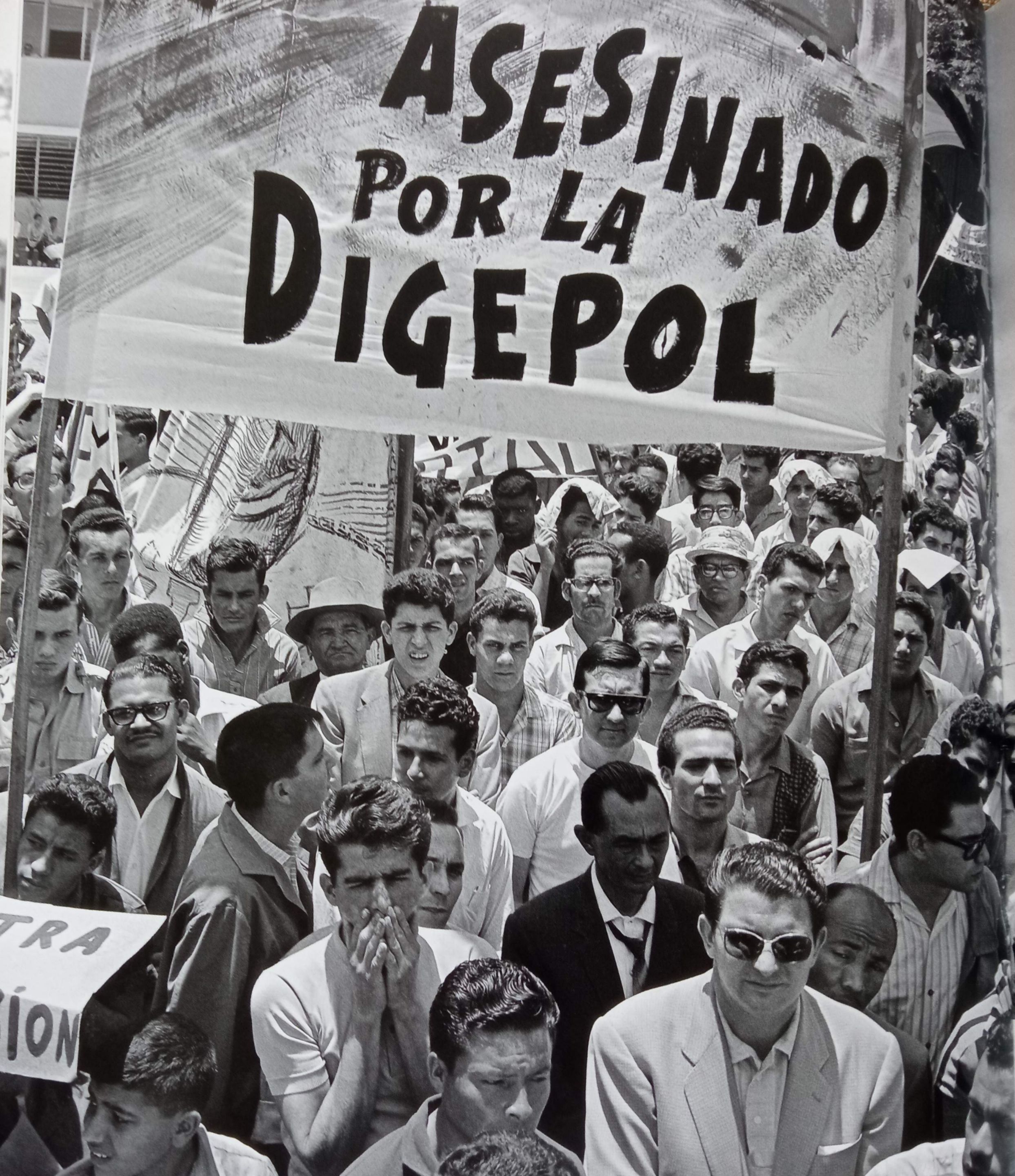 digepol.jpg