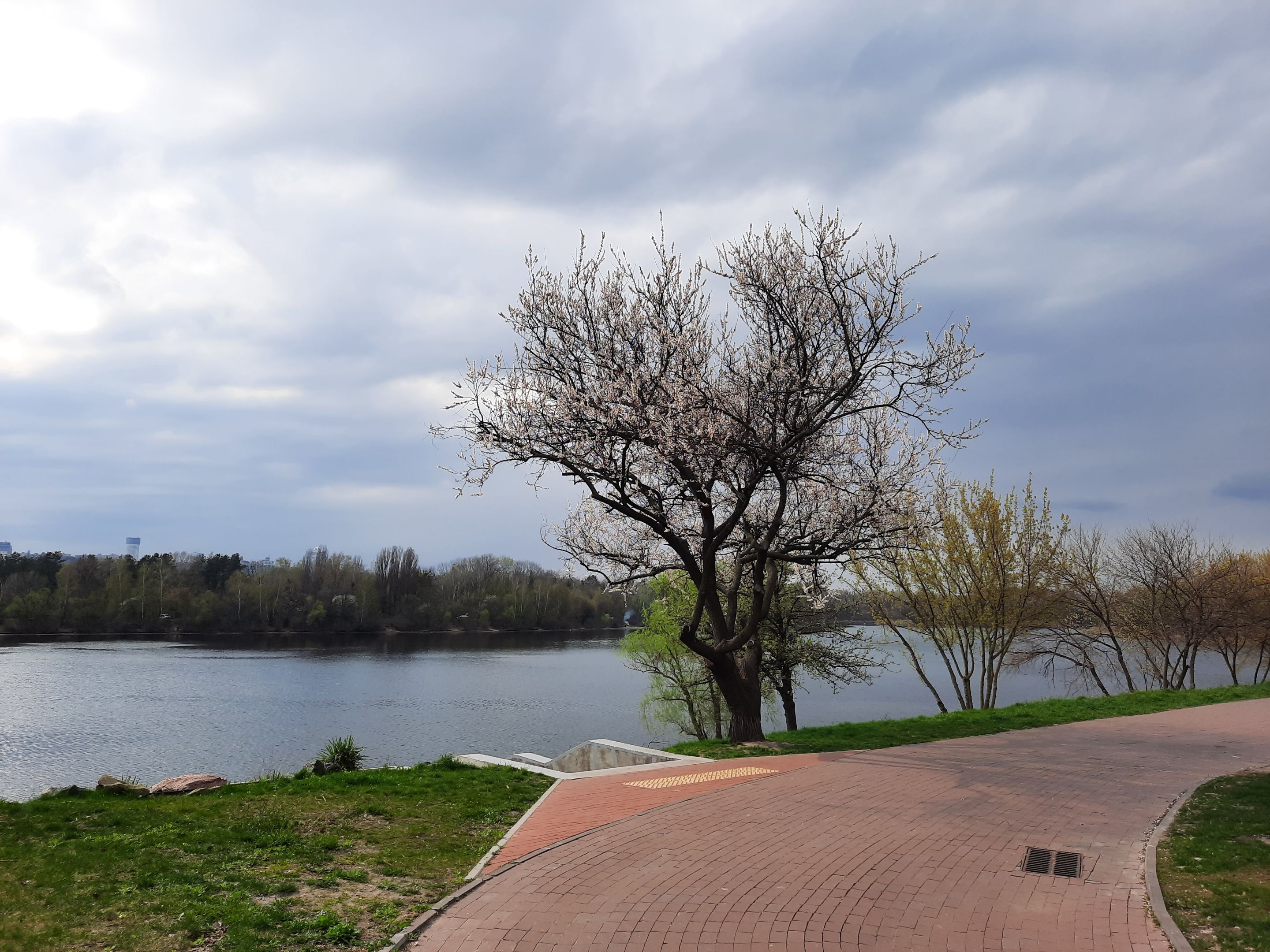20210425_161859.jpg