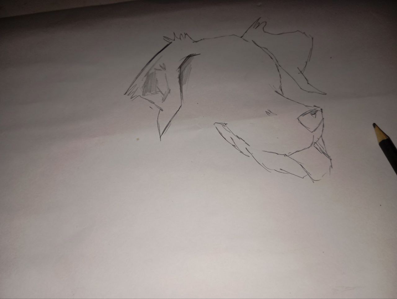 Pencil Sketch