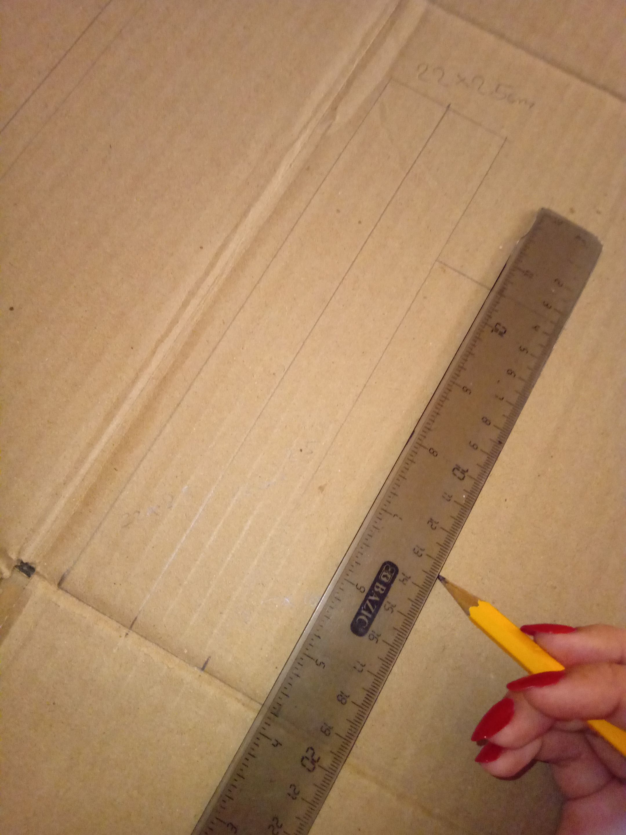 1000311411.jpg