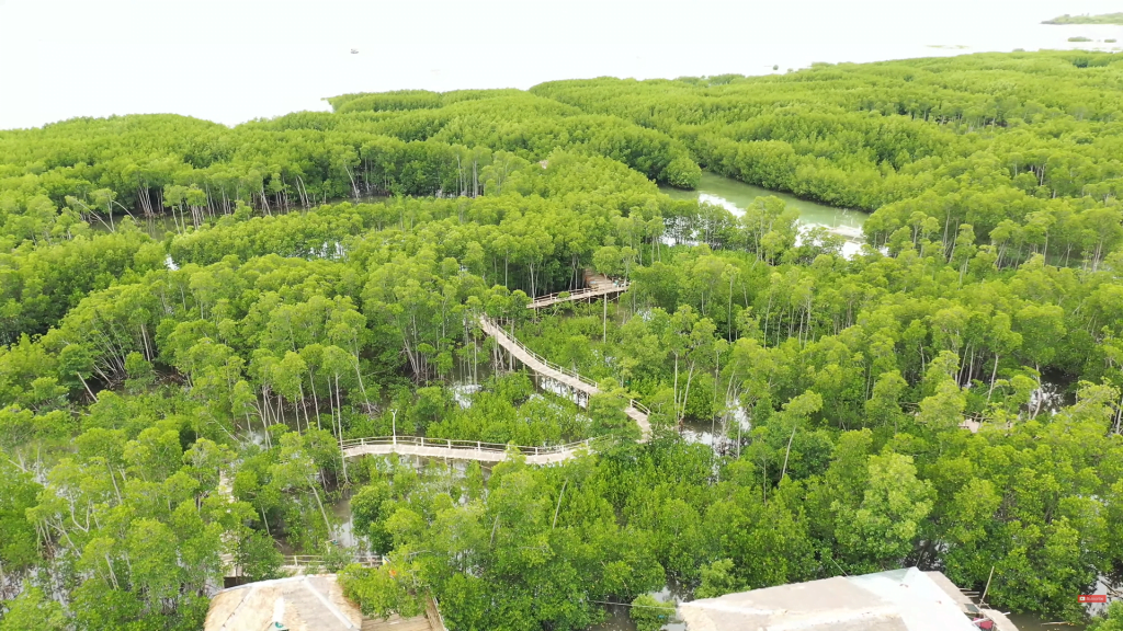 Omagieca-Mangrove-Garden-Eco-Park-1-1024x576.png