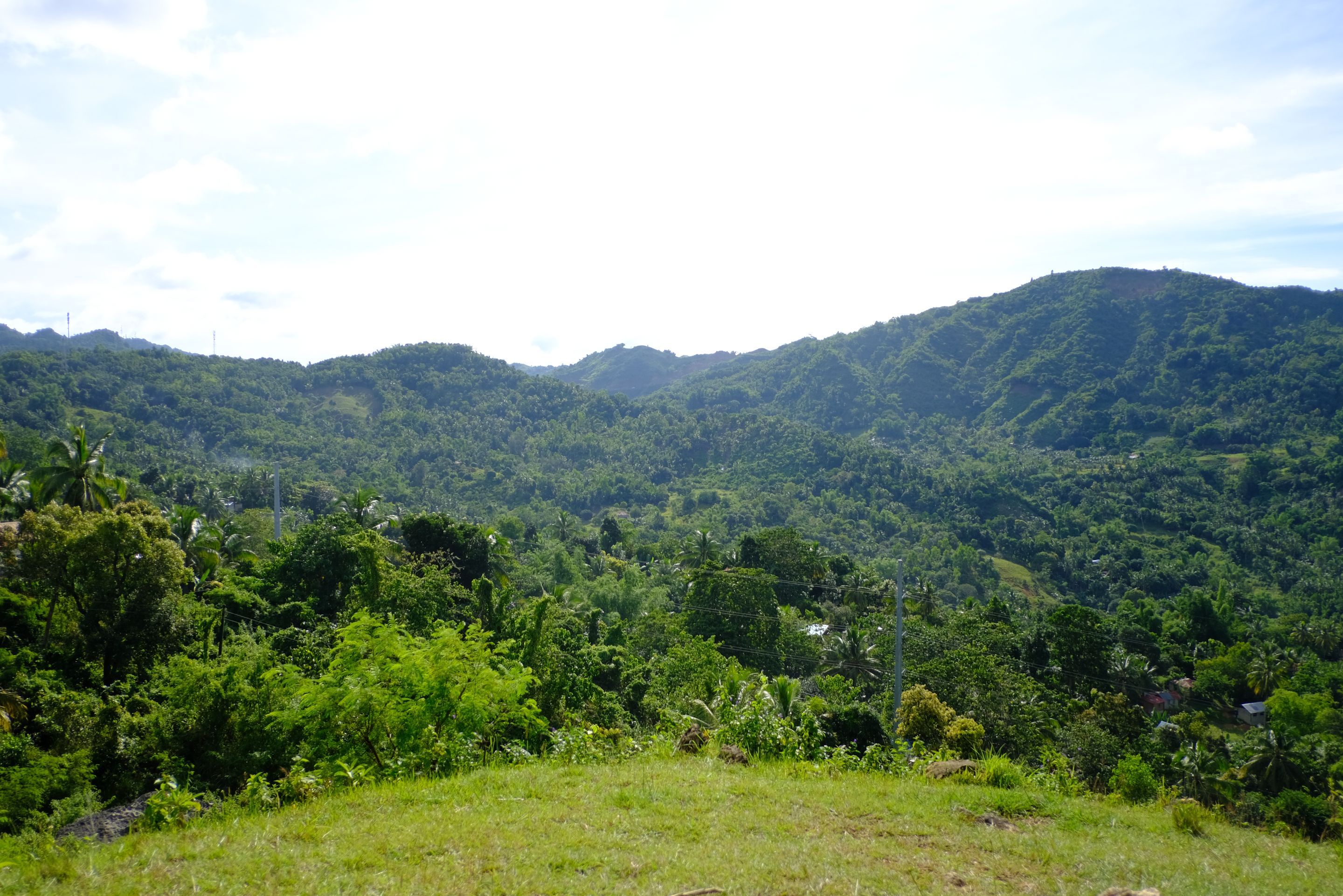 DSCF7923.JPG