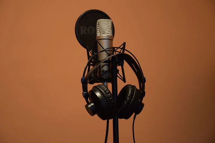 microphone-5046876__480.webp