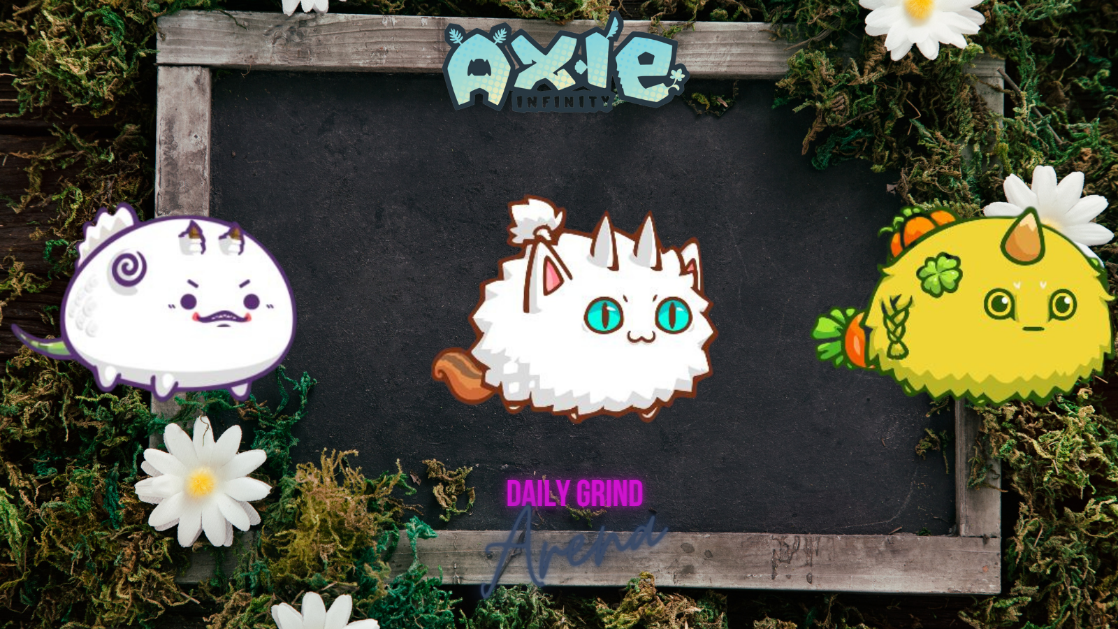 AXIE (9).png
