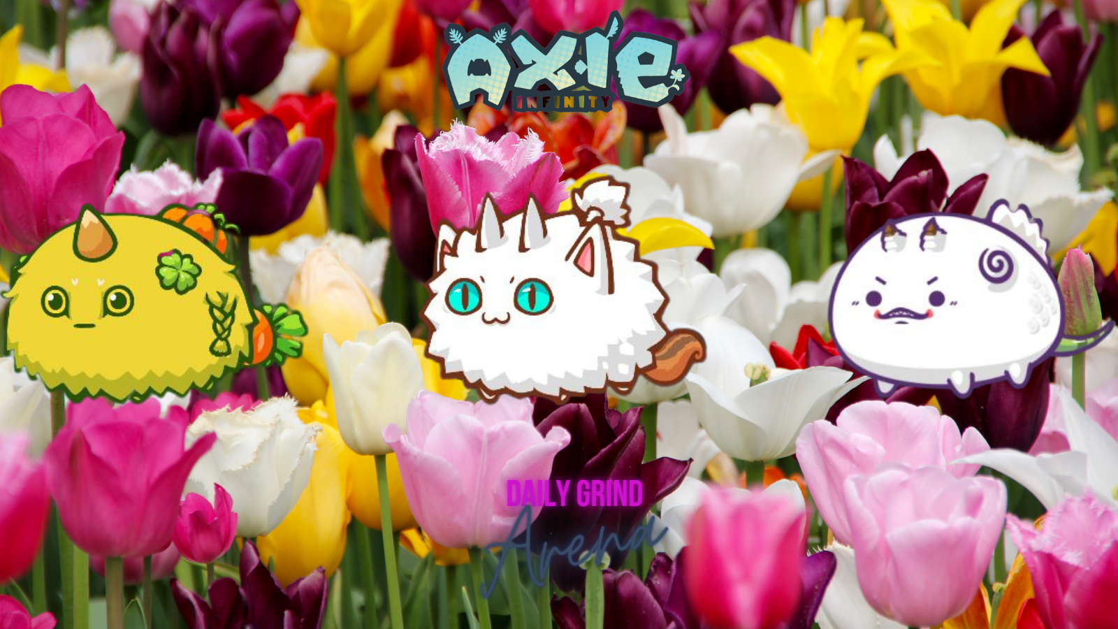 AXIE (14).png