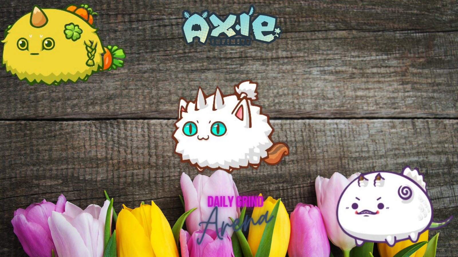 AXIE (5).png