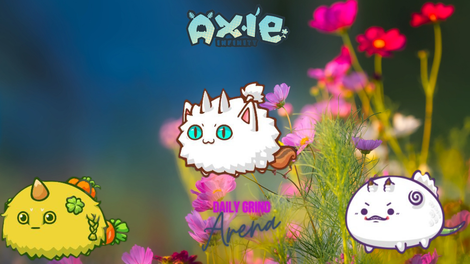 AXIE (6).png