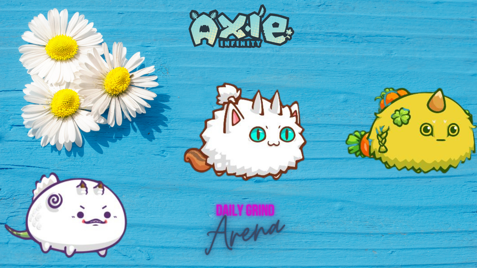 AXIE (8).png