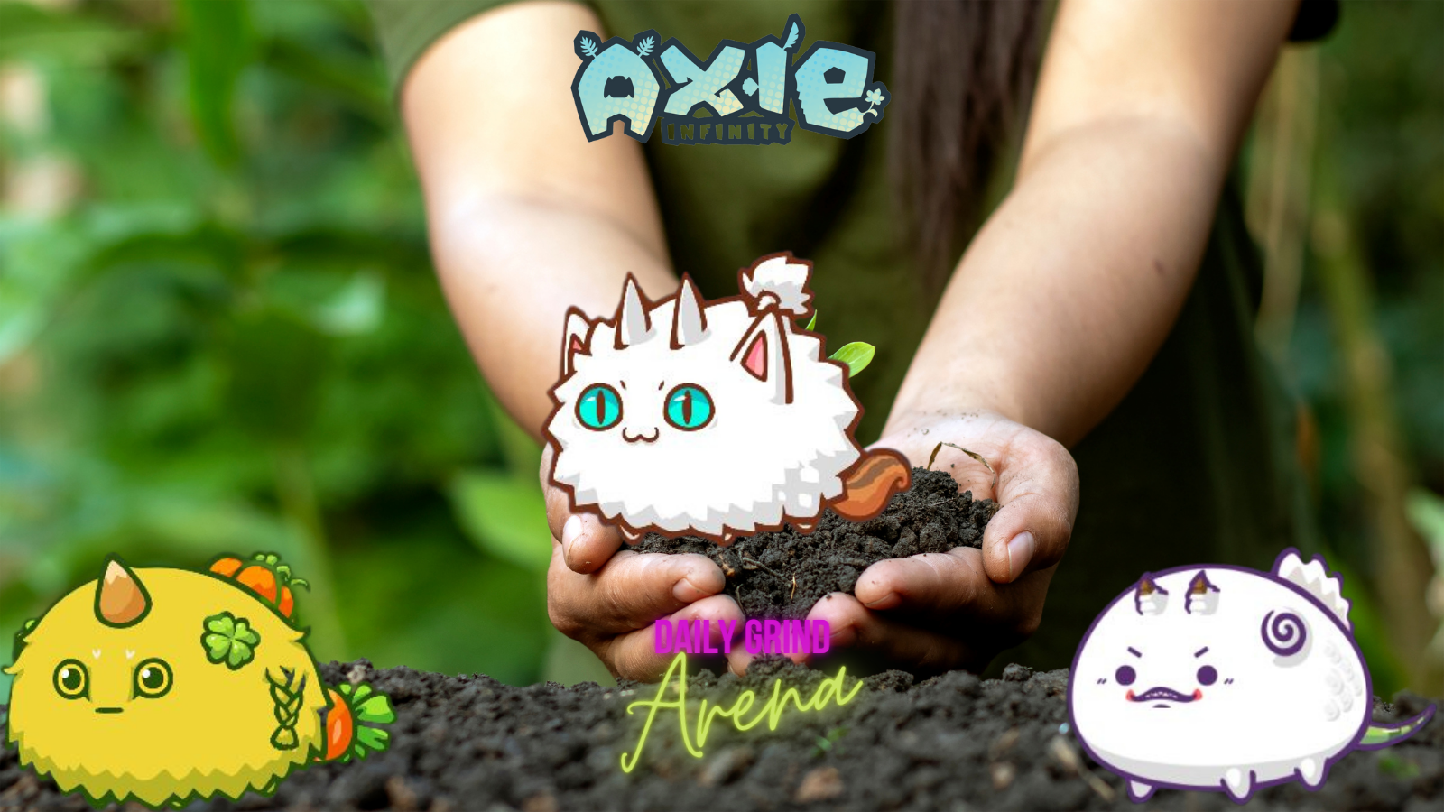 AXIE (15).png