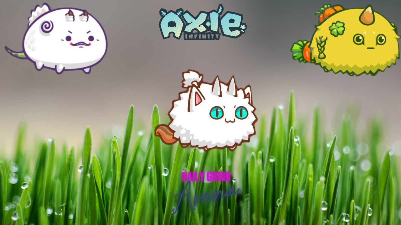 AXIE (7).png