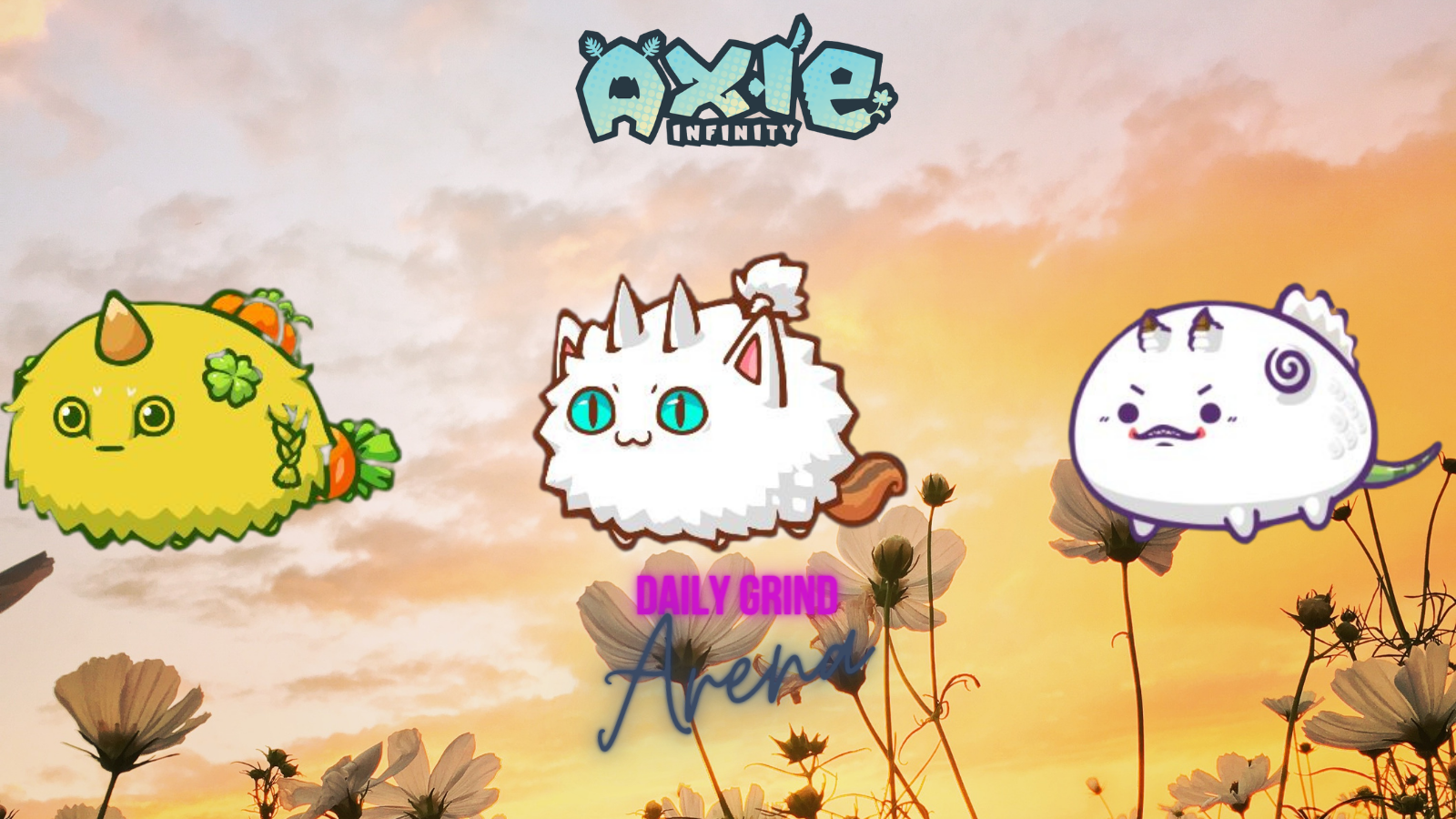 AXIE (4).png