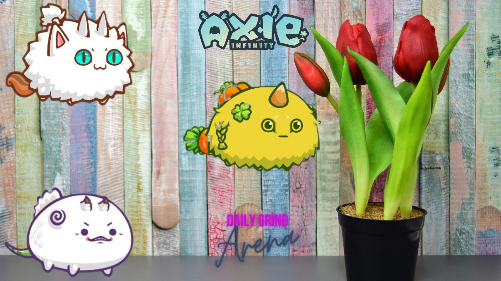 AXIE (13).png