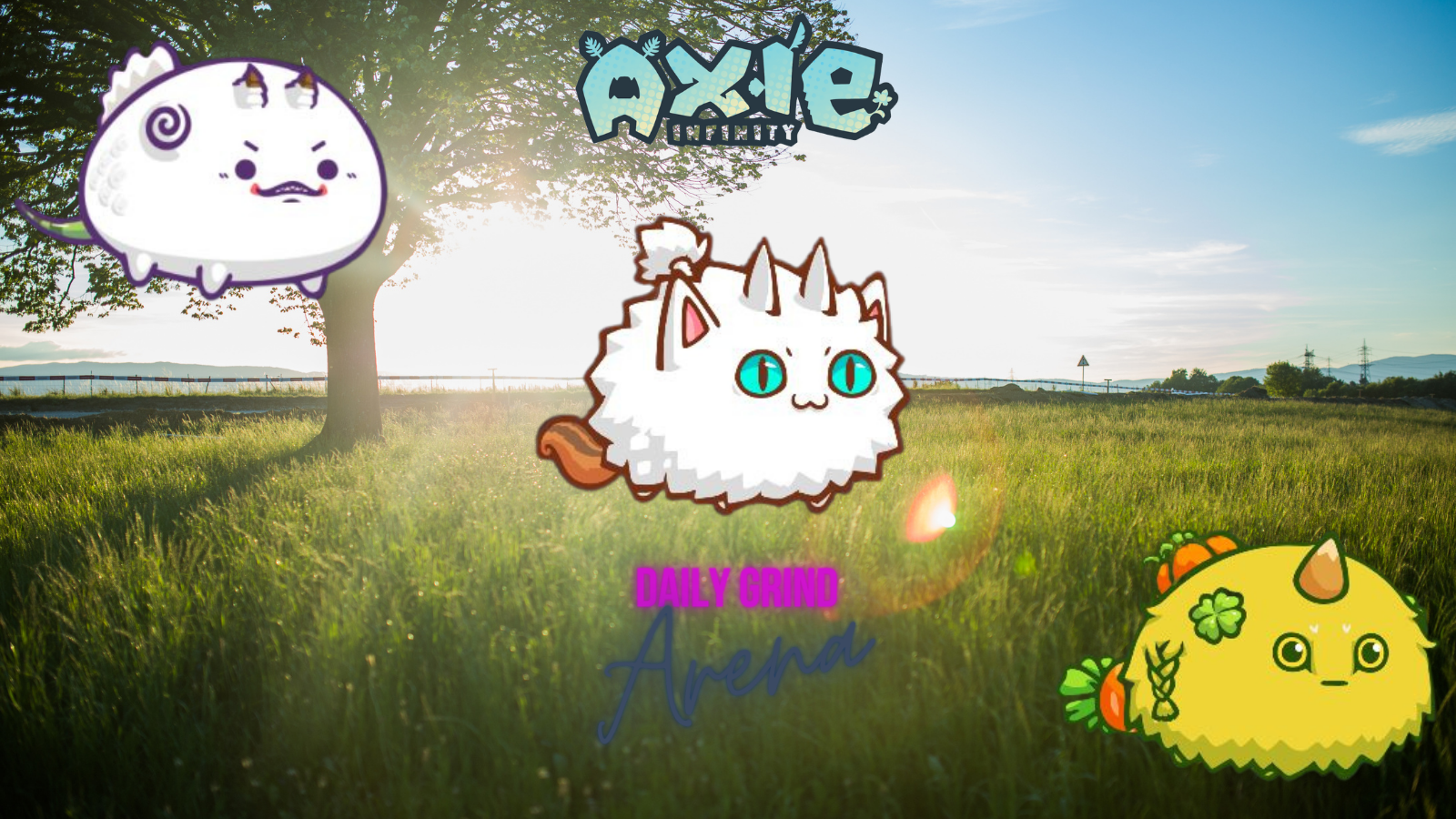 AXIE (31).png