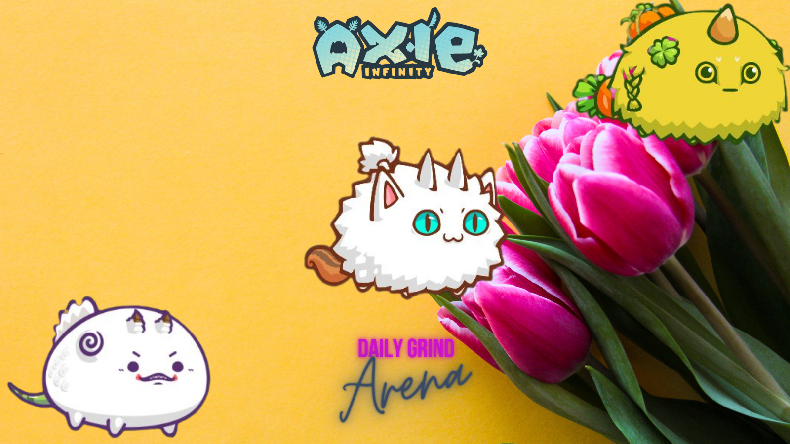 AXIE (10).png