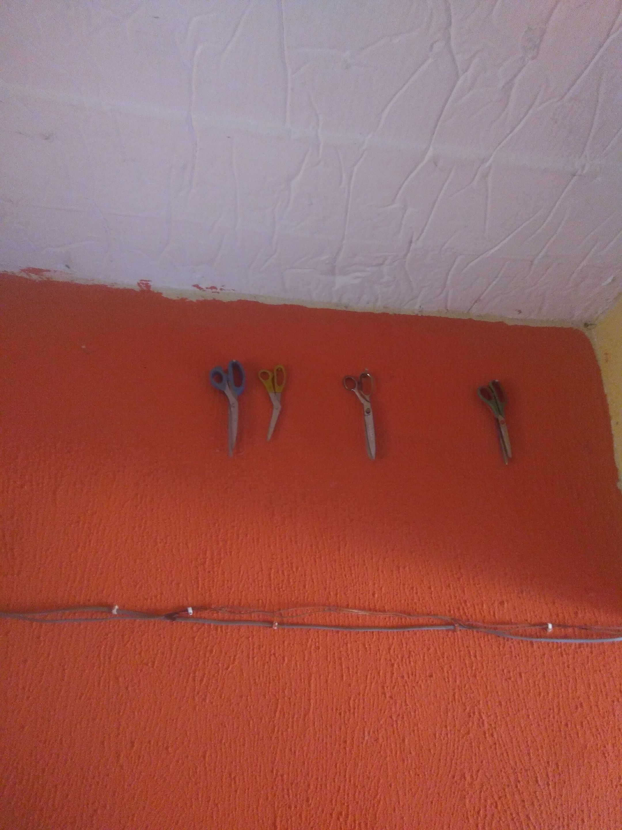 MVIMG_20250221_112536.jpg