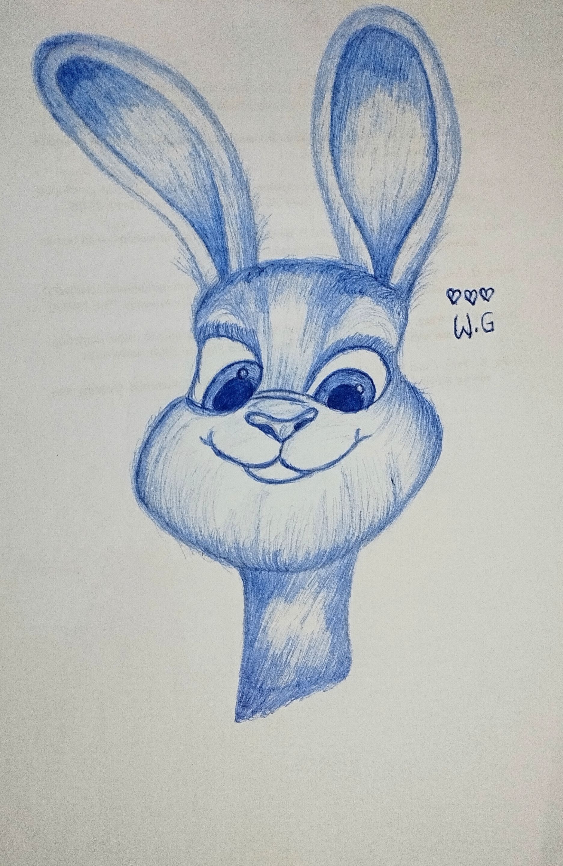 1001243041.jpg