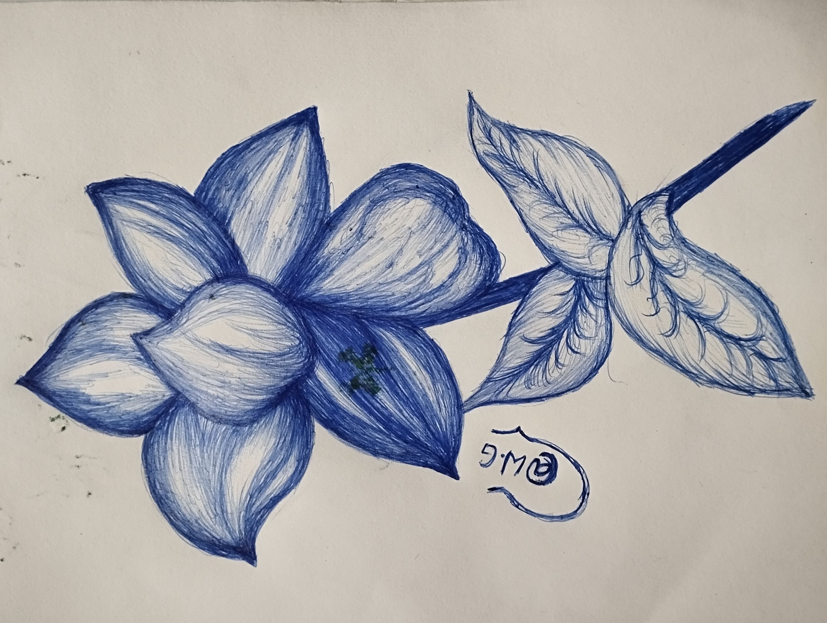 1001287282.jpg